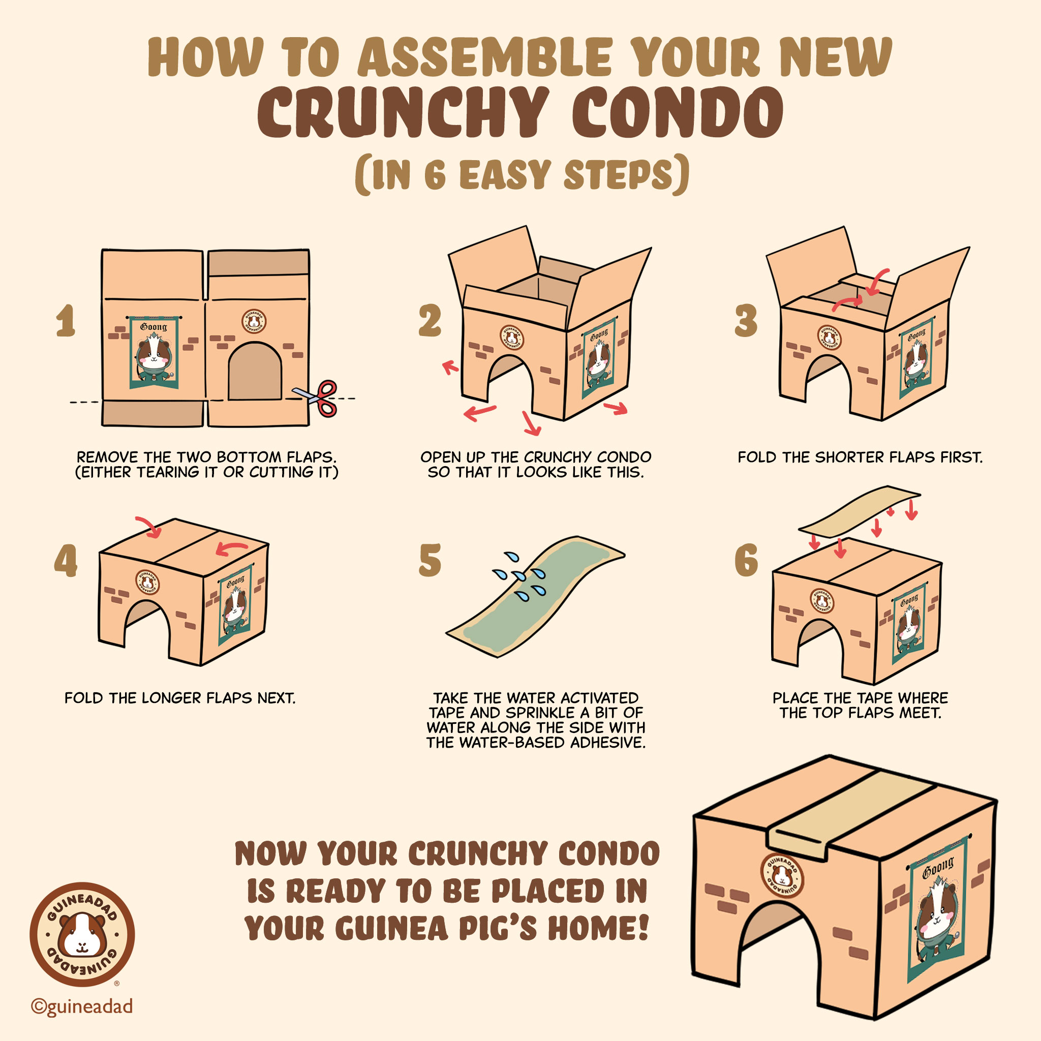 how-to-assemble-crunchy-condo-in-6-steps.jpg